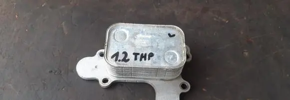 Peugeot 308 Engine oil radiator 9839253380