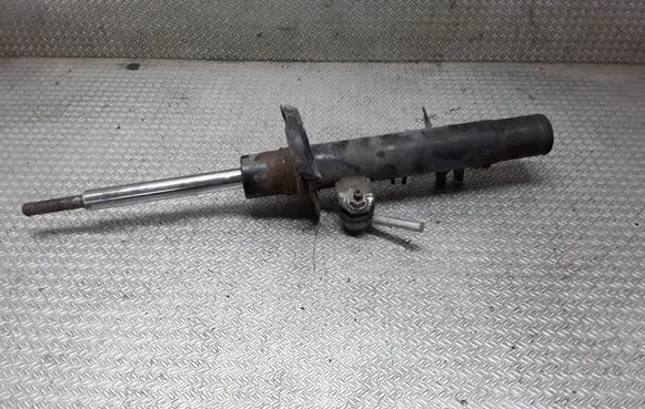 Peugeot 1007 Front shock absorber/damper 9656373480