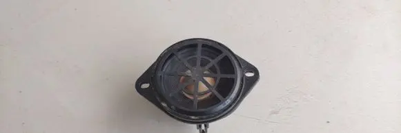 Front door high frequency speaker