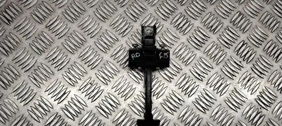 BMW X5 F15 Front door check strap stopper