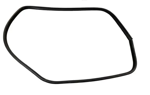 Ford Kuga I Front door rubber seal