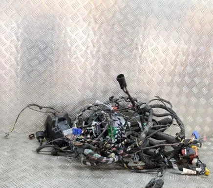 Jaguar XF X250 Other wiring loom AX2314290AFB 5605002800