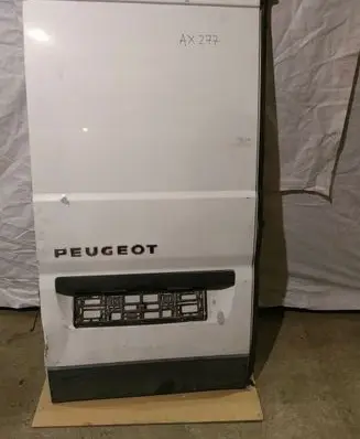 Peugeot Boxer Back/rear loading door H1249TYLL