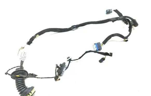 Citroen DS5 Rear door wiring loom 9801373180 55WYR3004