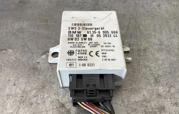 BMW 5 E39 Immobilizer control unit/module 61356905668 05393244 110187