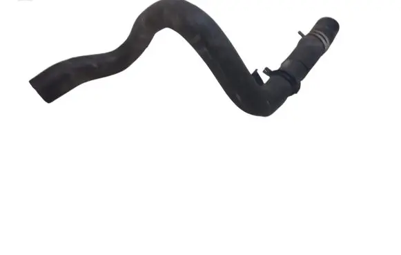 Ford Focus Engine coolant pipe/hose