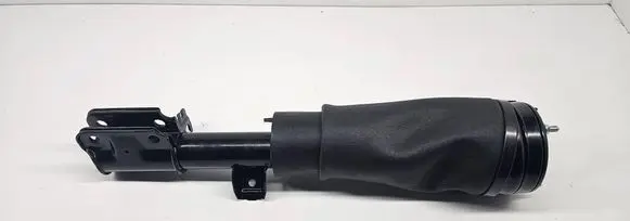 Land Rover Range Rover L322 Front air suspension shock absorber F2310245 3497672 F2310247