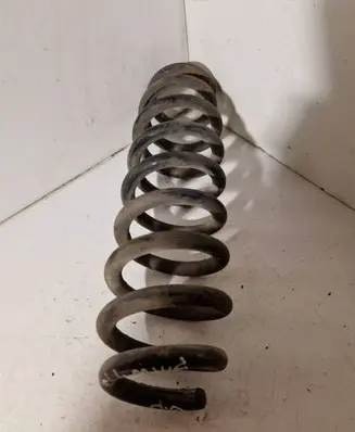Rear coil spring