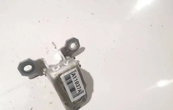 Renault Laguna III Rear door lower hinge 