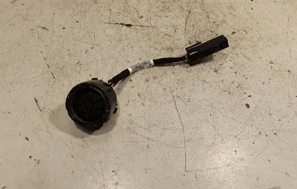 Front door high frequency speaker