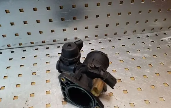 Citroen C5 Throttle valve 9660110780