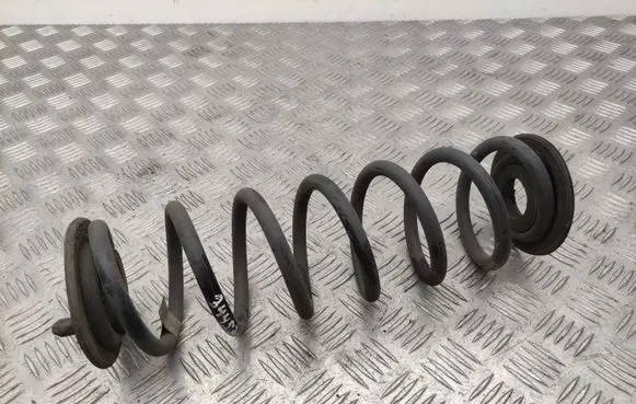Volkswagen PASSAT B8 Rear coil spring
