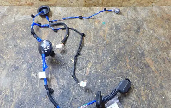 Hyundai Elantra VII Rear door wiring loom 91630AA020AAA
