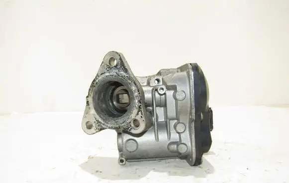 Renault Captur EGR valve H8201143495