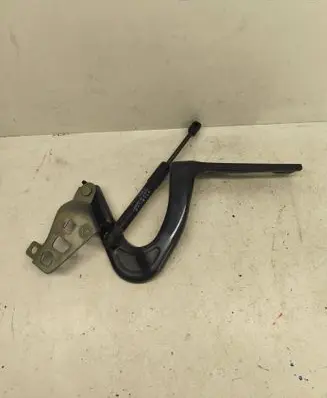 Tesla Model Y Engine bonnet/hood hinges 149626800C