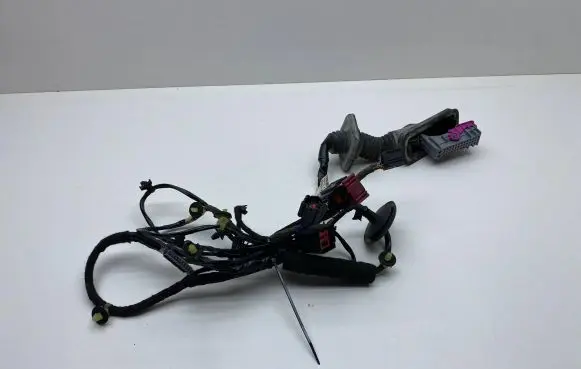 Front door wiring loom