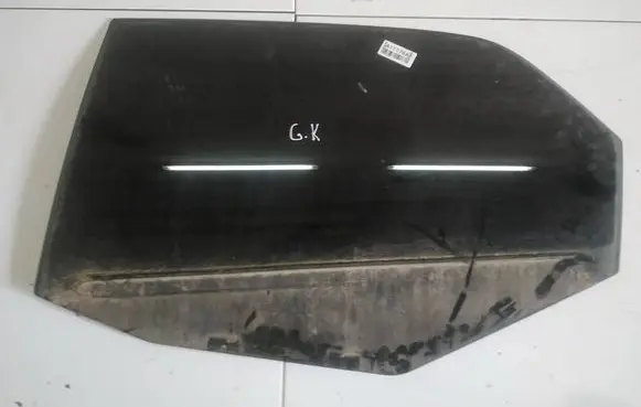 Dodge Magnum Rear door window glass 