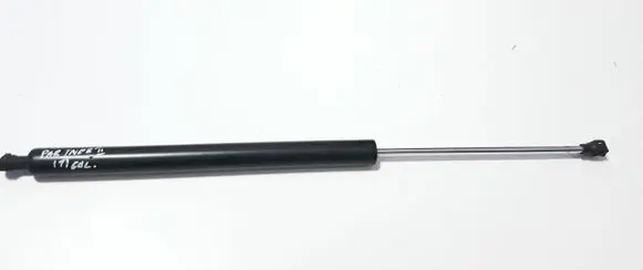 Tailgate strut