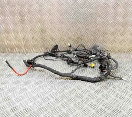 BMW 2 F45 Other wiring loom 6825781 6806599