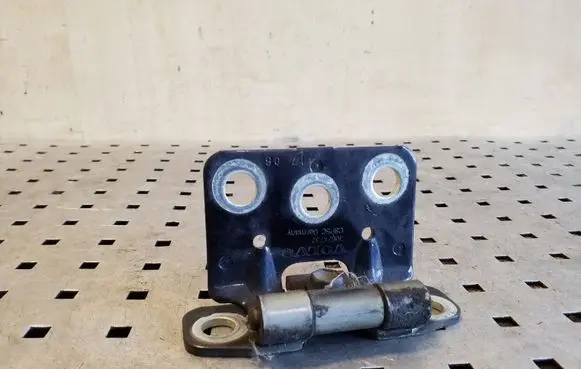Volvo XC90 Tailgate hinge 30674732