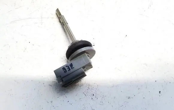 Interior temperature sensor