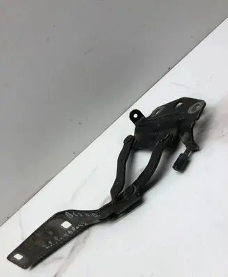 Volkswagen PASSAT B6 Engine bonnet/hood hinges 3C0823301