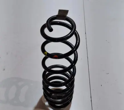 Ford Ecosport Rear coil spring GN155560H4B
