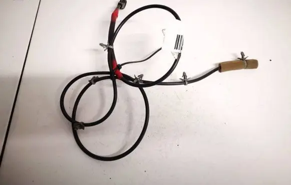 Other wiring loom