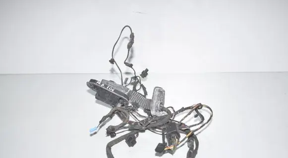 BMW 6 F06 Gran coupe Front door wiring loom 9255406 9303715 61129303715