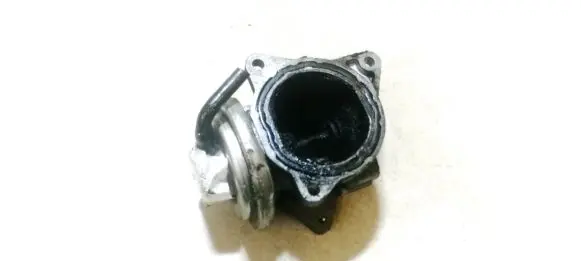 EGR valve