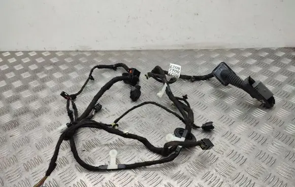 Buick Encore I Front door wiring loom 42388027