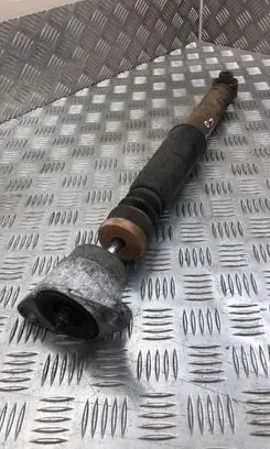 Audi A4 S4 B7 8E 8H Rear shock absorber/damper