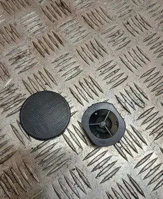 Front door high frequency speaker