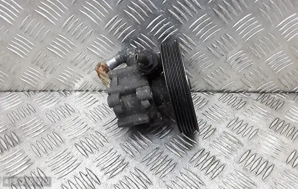 Dacia Duster Power steering pump 7613955617