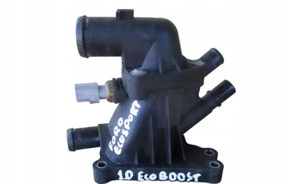 Thermostat/thermostat housing