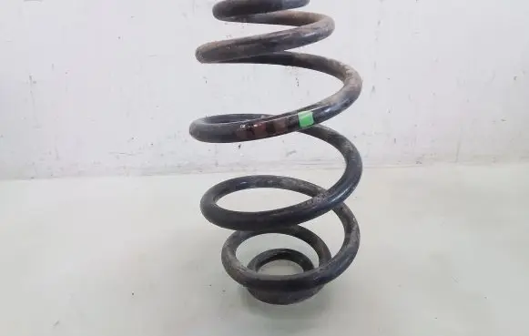 Volkswagen PASSAT B5.5 Rear coil spring