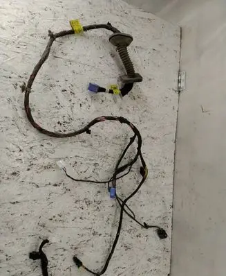 Front door wiring loom