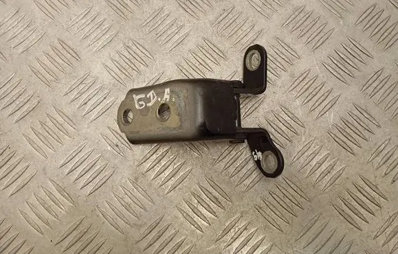 Lexus NX Rear door lower hinge