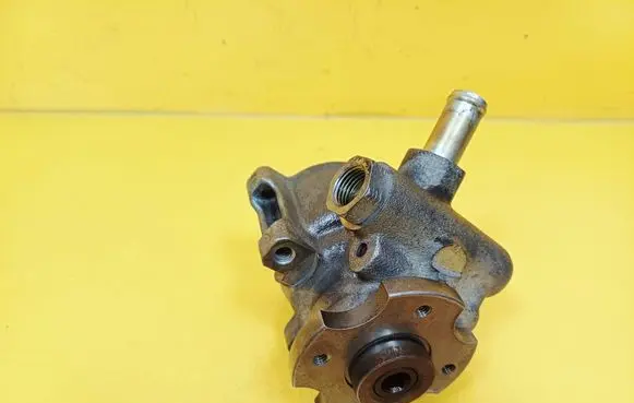 Peugeot Partner Power steering pump 9151249180