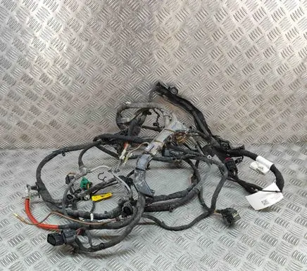 Skoda Enyaq iV Other wiring loom 5LA970250