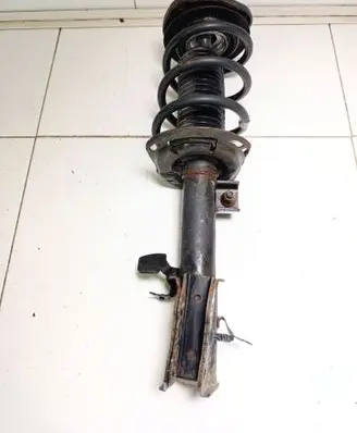 Ford Kuga III Front shock absorber with coil spring LX6118K001