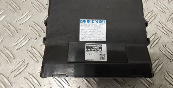 Engine control unit/module ECU