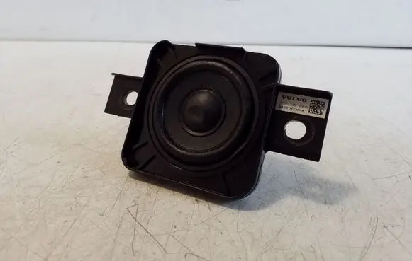 Panel speaker
