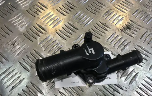 Thermostat/thermostat housing