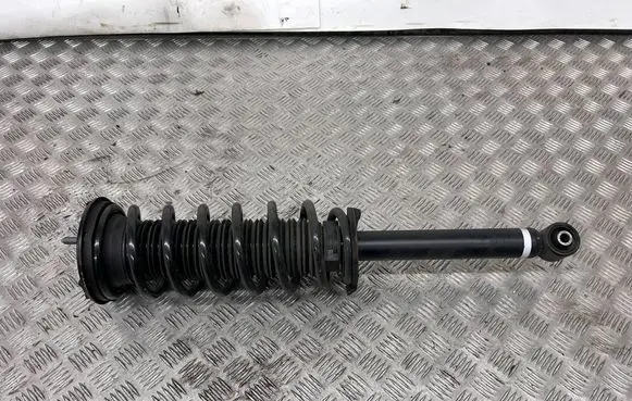 Toyota Mirai II Rear shock absorber/damper 4853062020