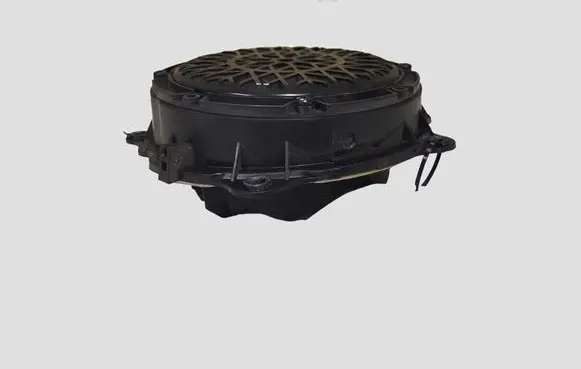 Citroen C5 Front door speaker