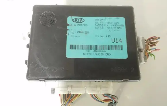 KIA Sportage Other control units/modules 954003U141 49187WU001