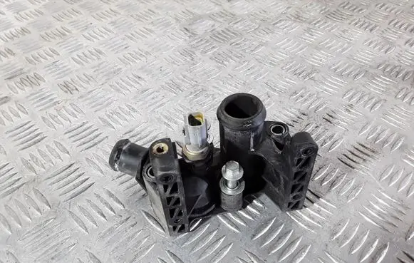 Thermostat/thermostat housing