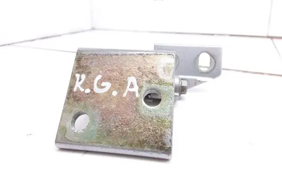 Peugeot 406 Rear door lower hinge
