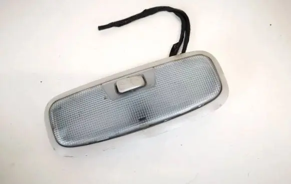 Rear seat light